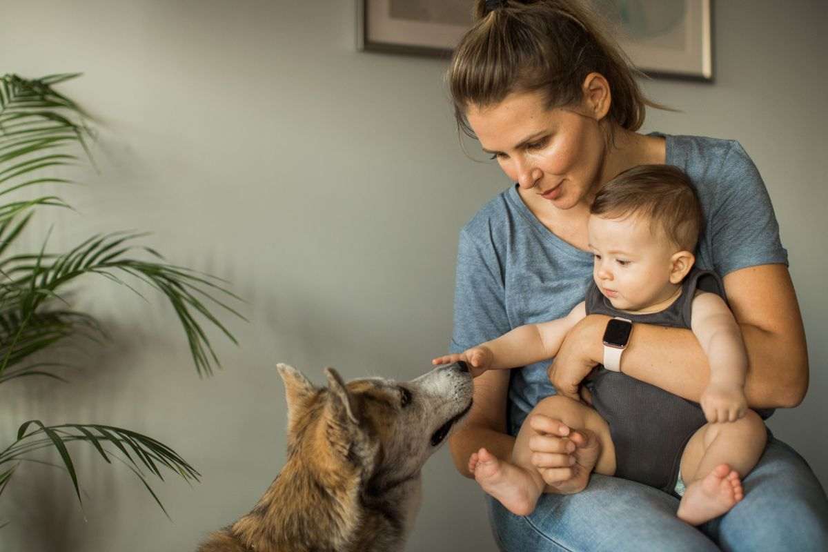 Mamma lascia che il figlio accarezzi il cane