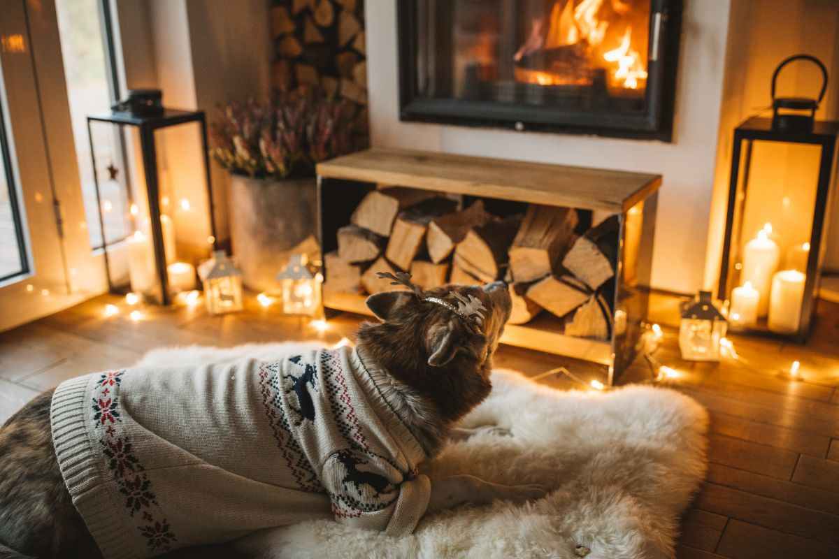 Cane con maglione si riscalda davanti al camino acceso