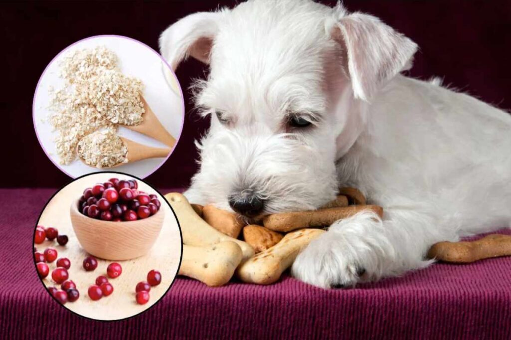 Biscotti a forma di osso per cane