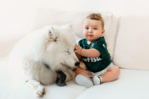 bambino e cane insieme sul divano