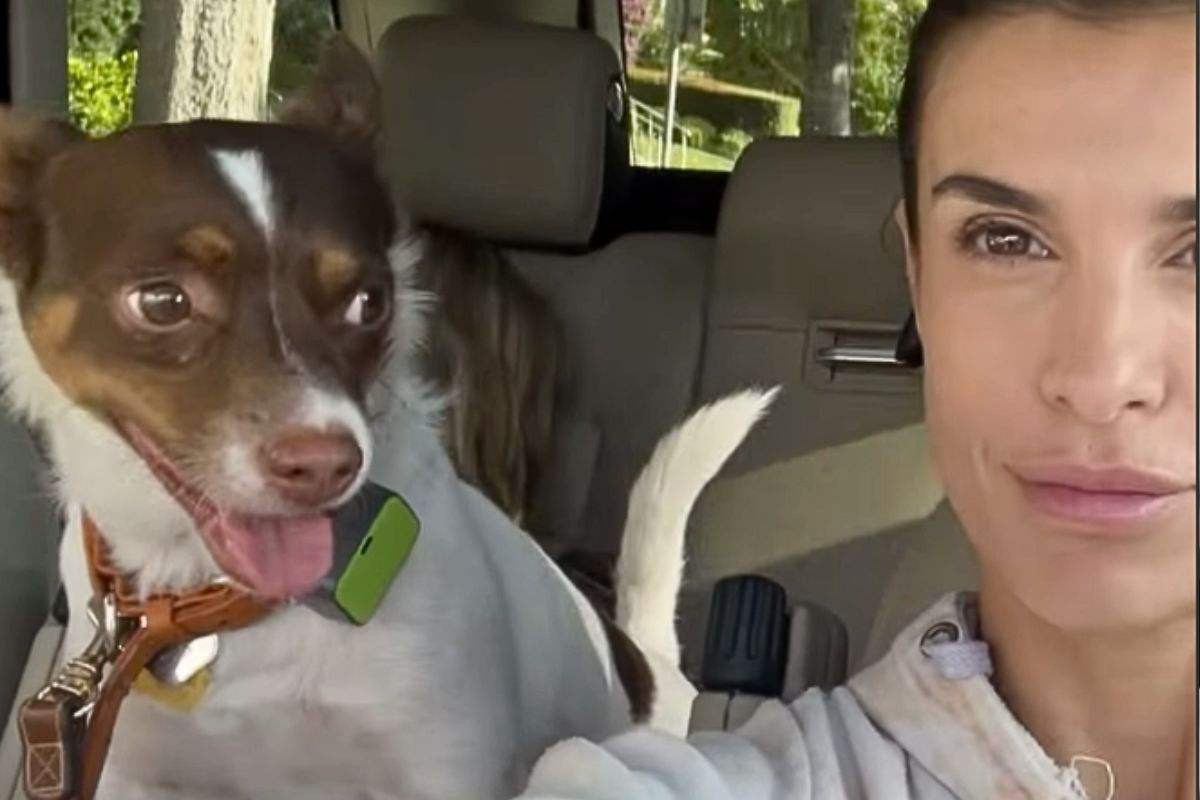 Elisabetta viaggia con il suo cane dottato