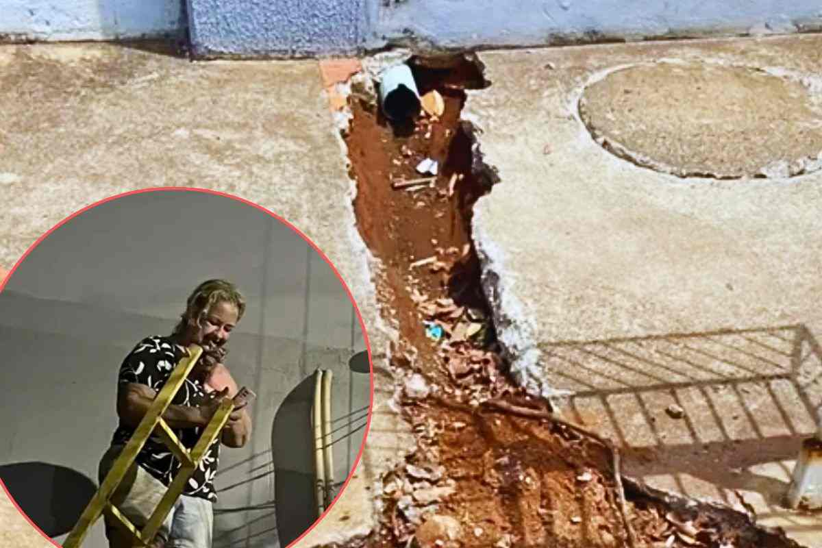 i gatti incastrati nella tubatura in una strada brasiliana