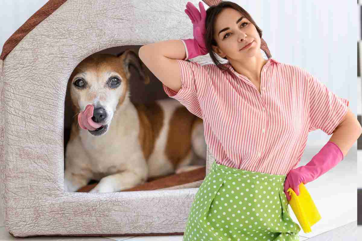 cane nella cuccia e davanti una donna pronta alla pulizia
