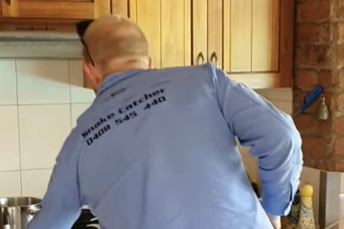 Serpente in cucina VIDEO