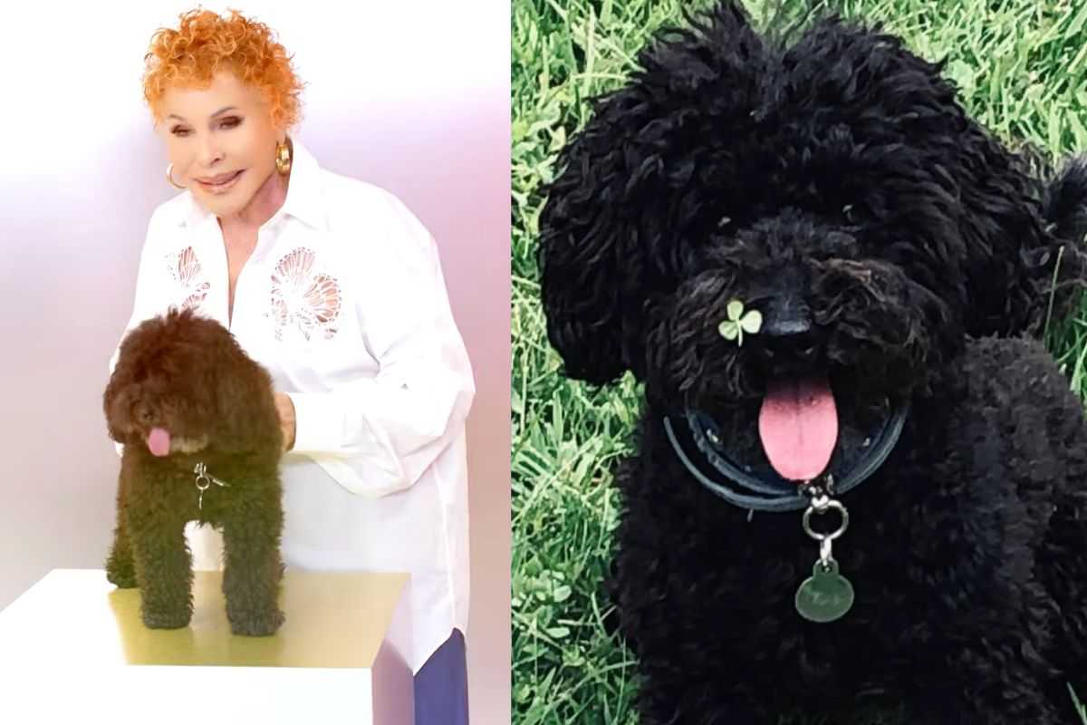 La barboncina Ondina