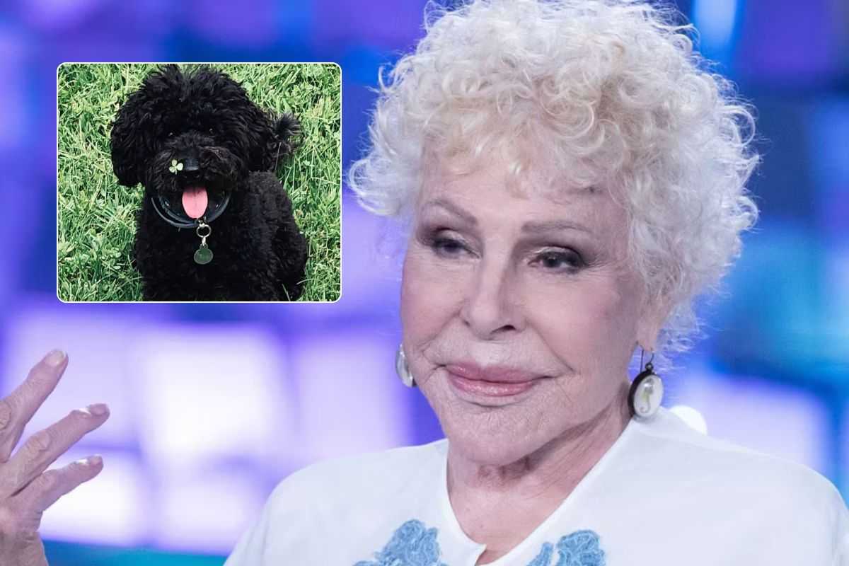 Ornella Vanoni intervista in tv