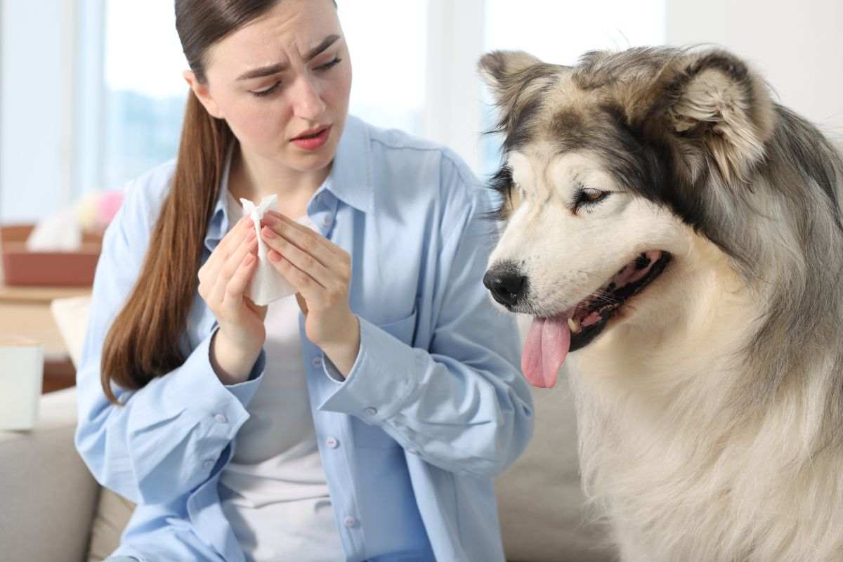 Padrona e cane raffreddati e malati