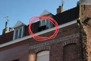 screen telegiornale youtube pantera sui tetti francia