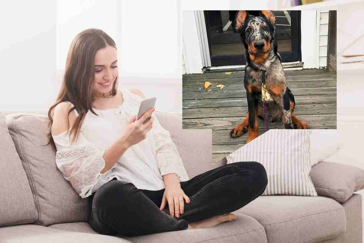 una ragazza guarda un video e nella nuvoletta il cucciolo di questa storia