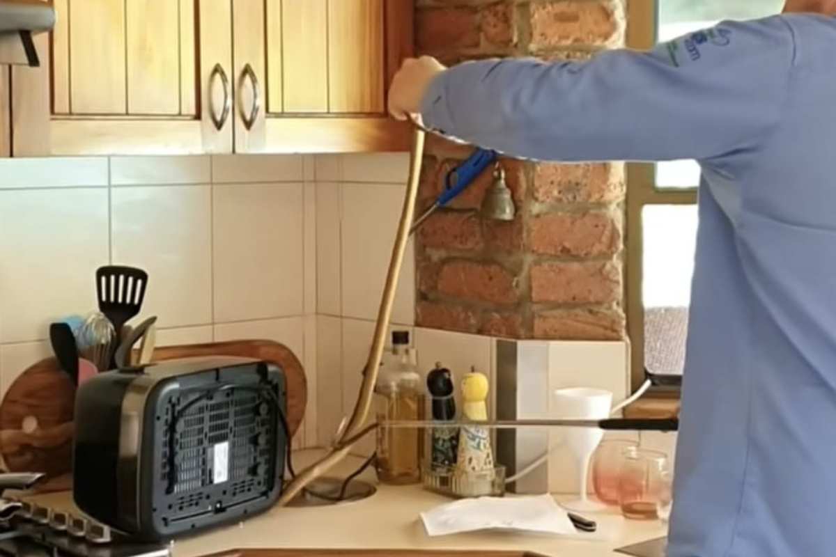 Serpente in cucina VIDEO