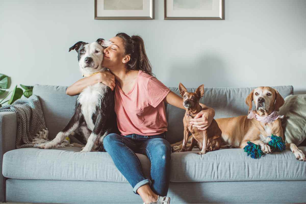 donna con cani sul divano