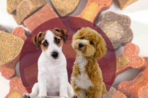 due cuccioli di cane con cibo sullo sfondo