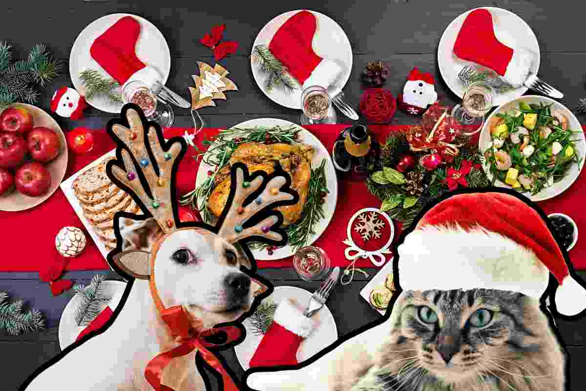 cosa possono mangiare cane e gatto a Natale 