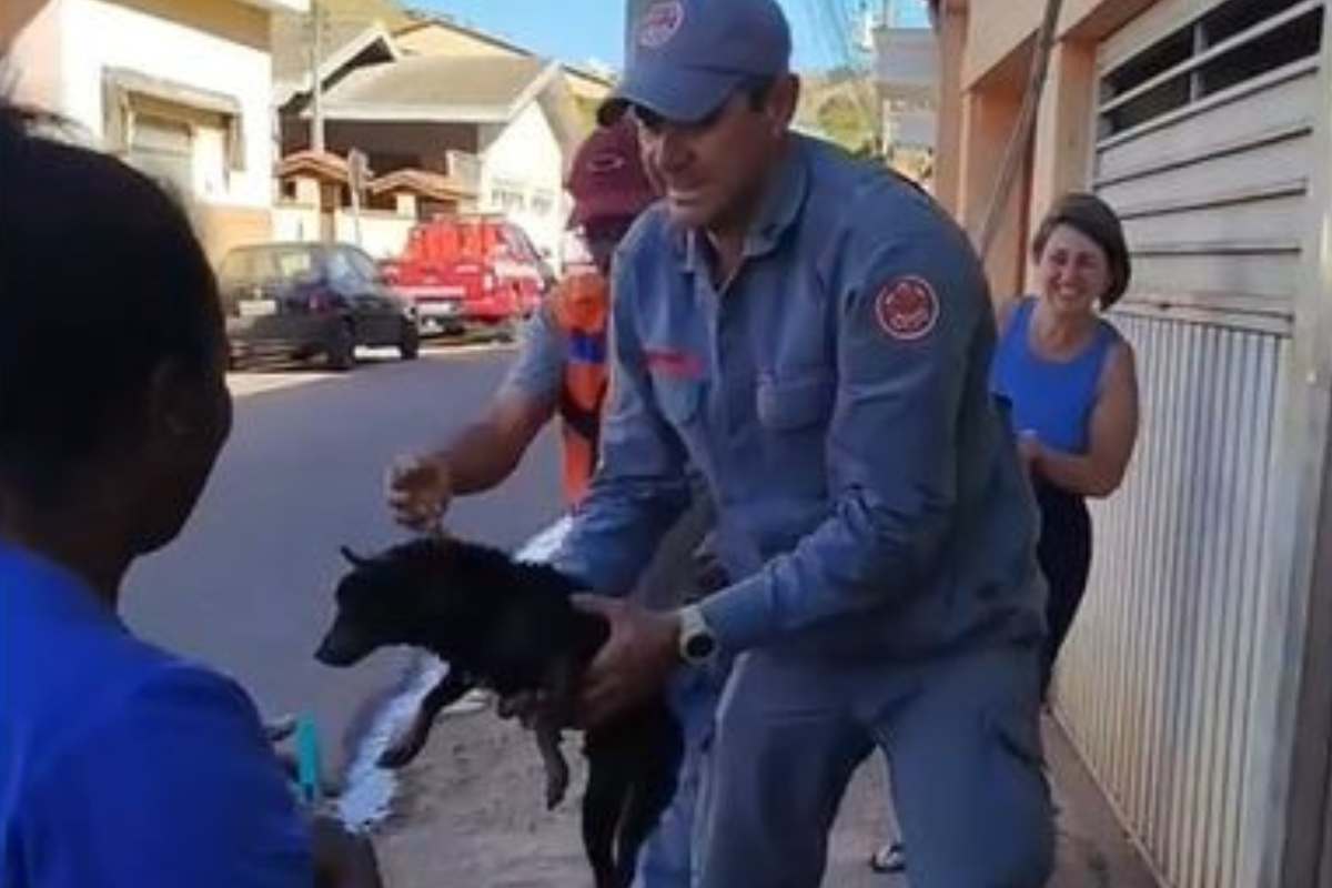 soccorritore con cane 