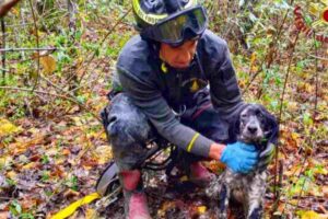 vigile del fuoco e cane salvato