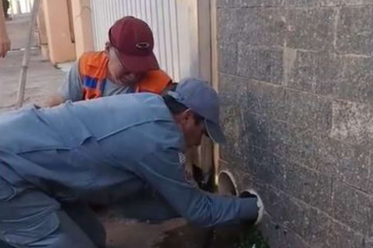 uomini che cercano di salvare il cane incastrato