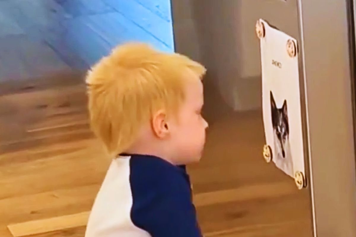 Mack fissa la foto di Shanzi