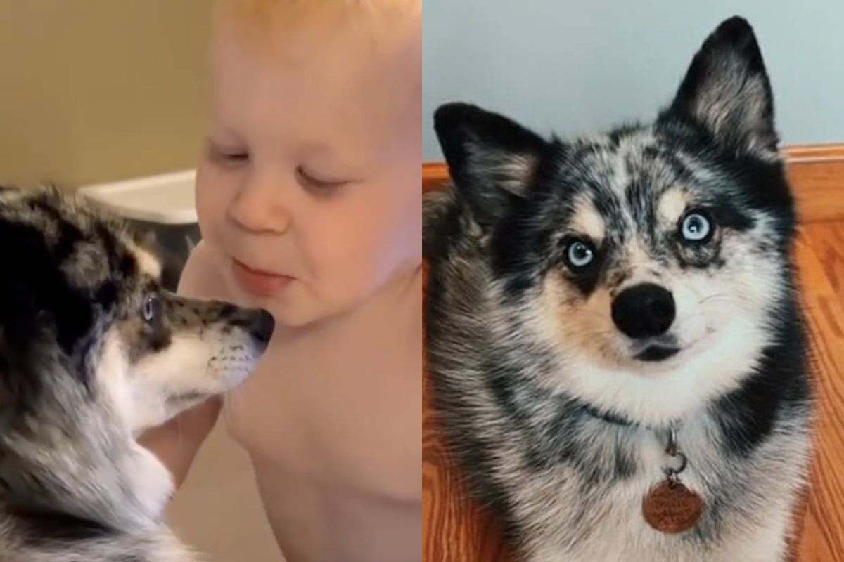 Mack e Shanzi cresciuti insieme