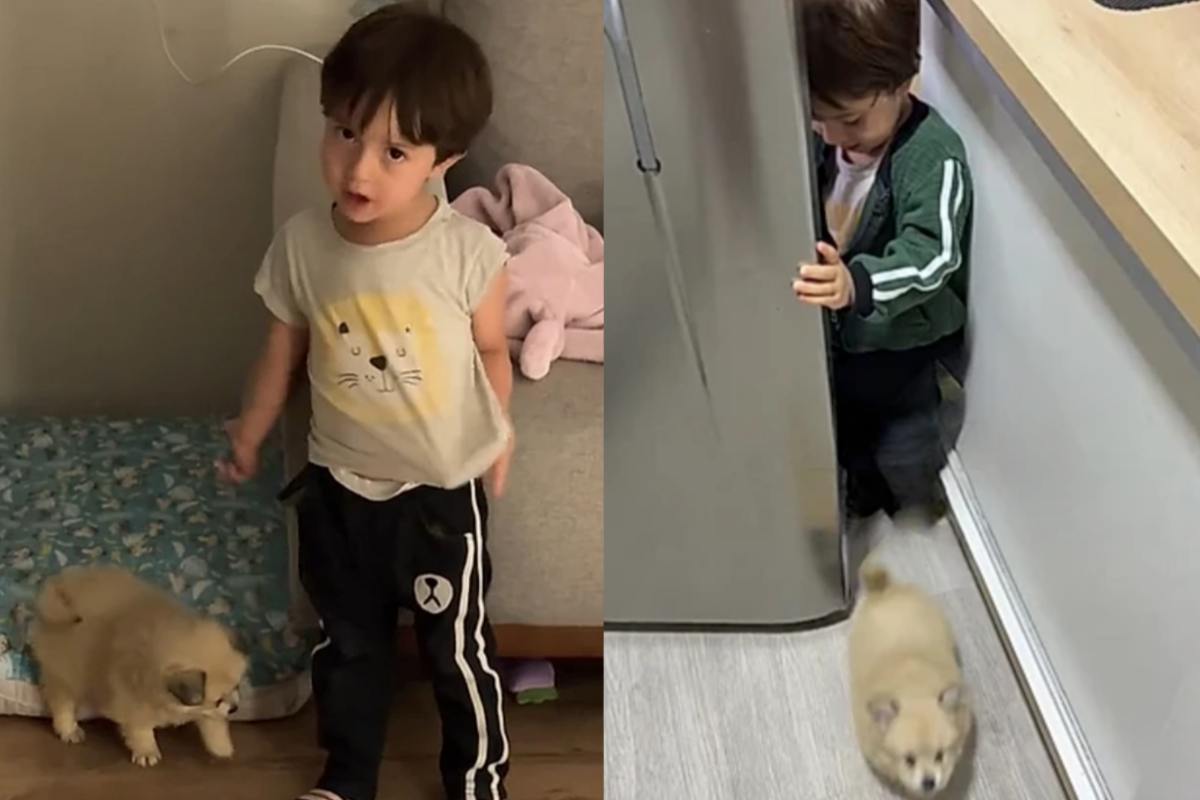 Bambino e cucciolo cane amici