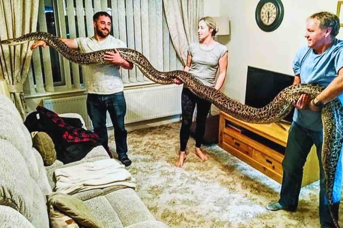 La famiglia Hobbs misura la lunghezza del serpente