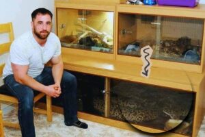 rettili in casa di Marcus Hobbs