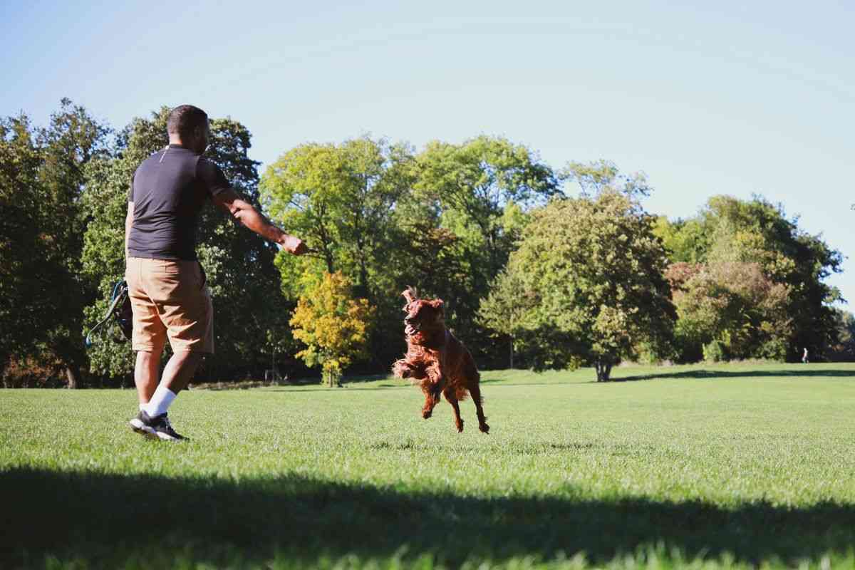 Cane e padrone giocano in giardino