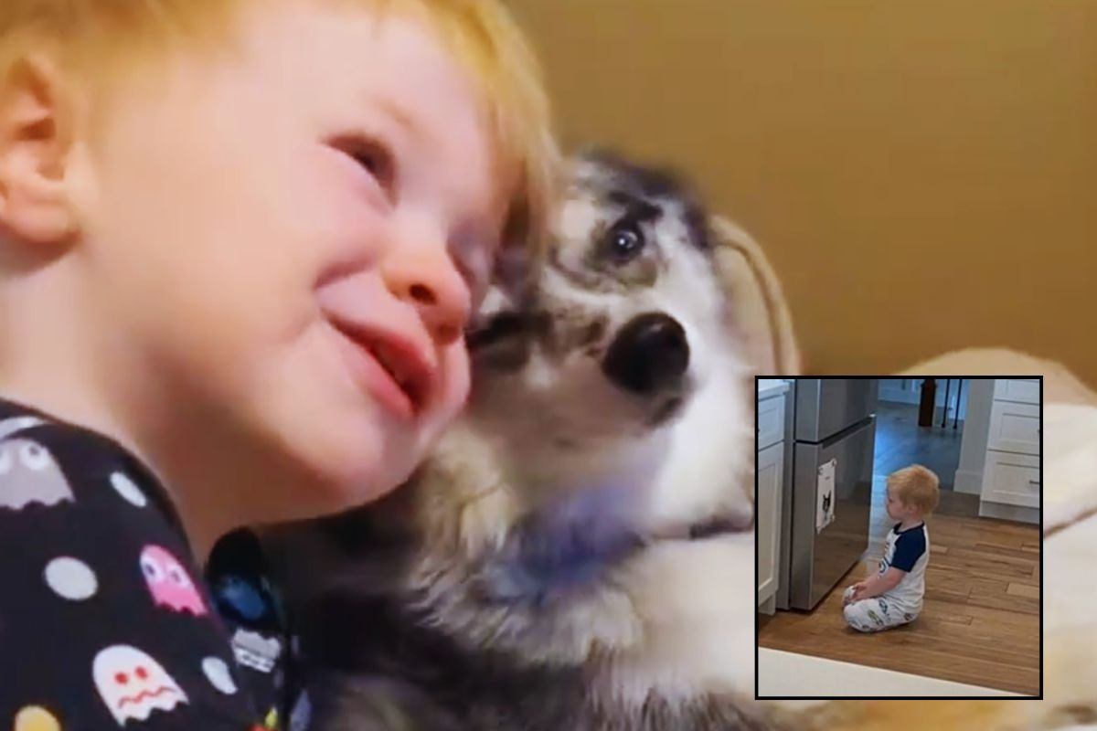 Mack e Shanzi si abbracciano e giocano